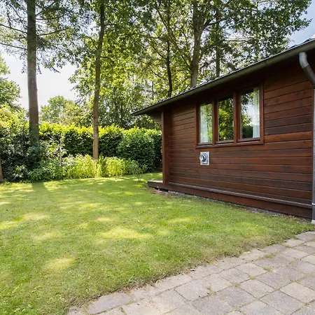 'de Taxus' In De Veluwe *