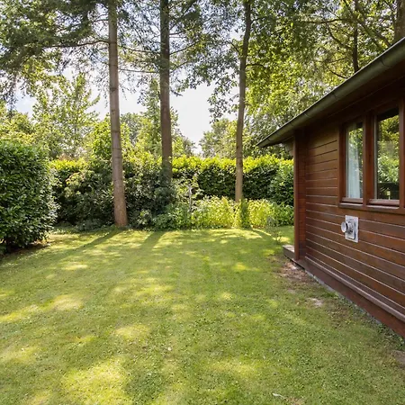 'de Taxus' In De Veluwe