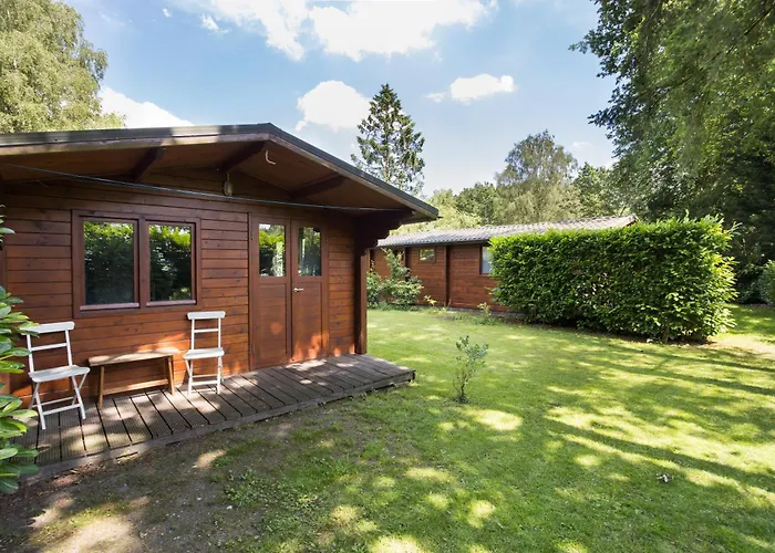 'de Taxus' In De Veluwe