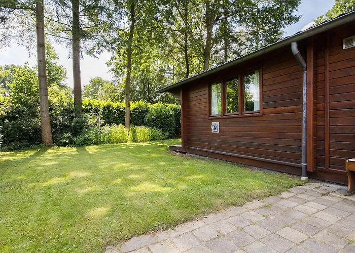 'de Taxus' In De Veluwe *