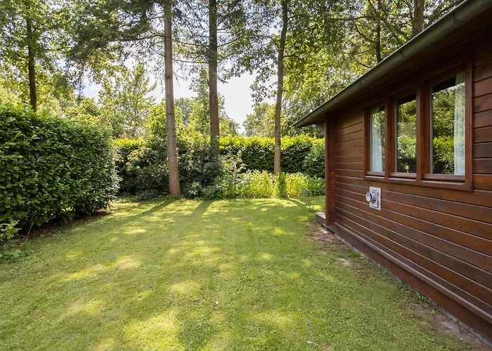 'de Taxus' In De Veluwe